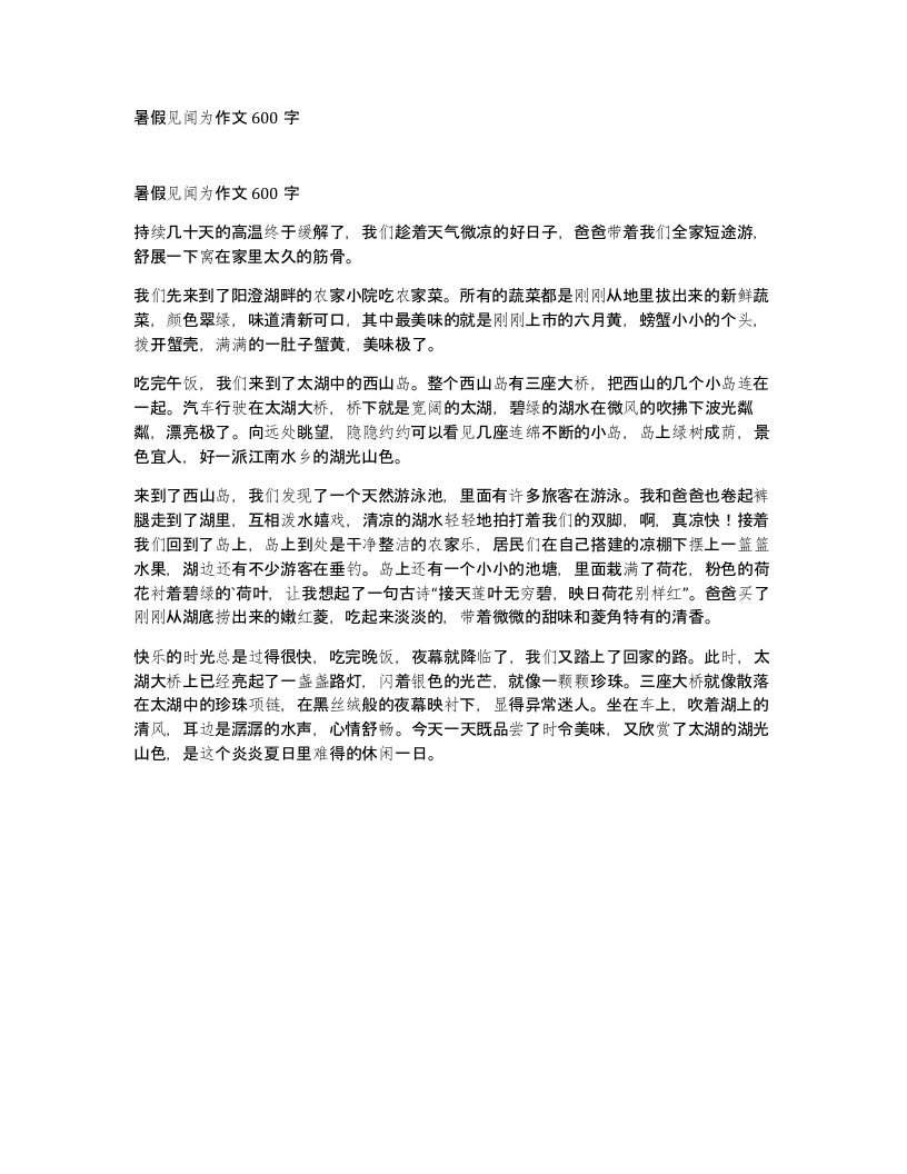 暑假见闻为作文600字