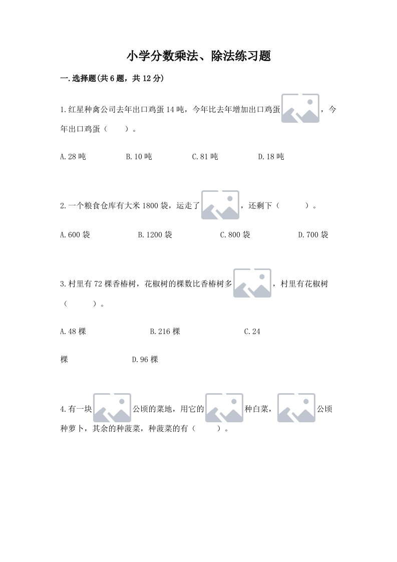 小学分数乘法、除法练习题精品（历年真题）