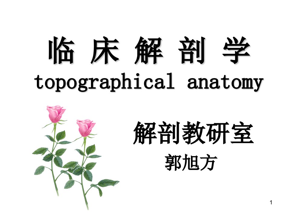 临床解剖学临床脊柱区