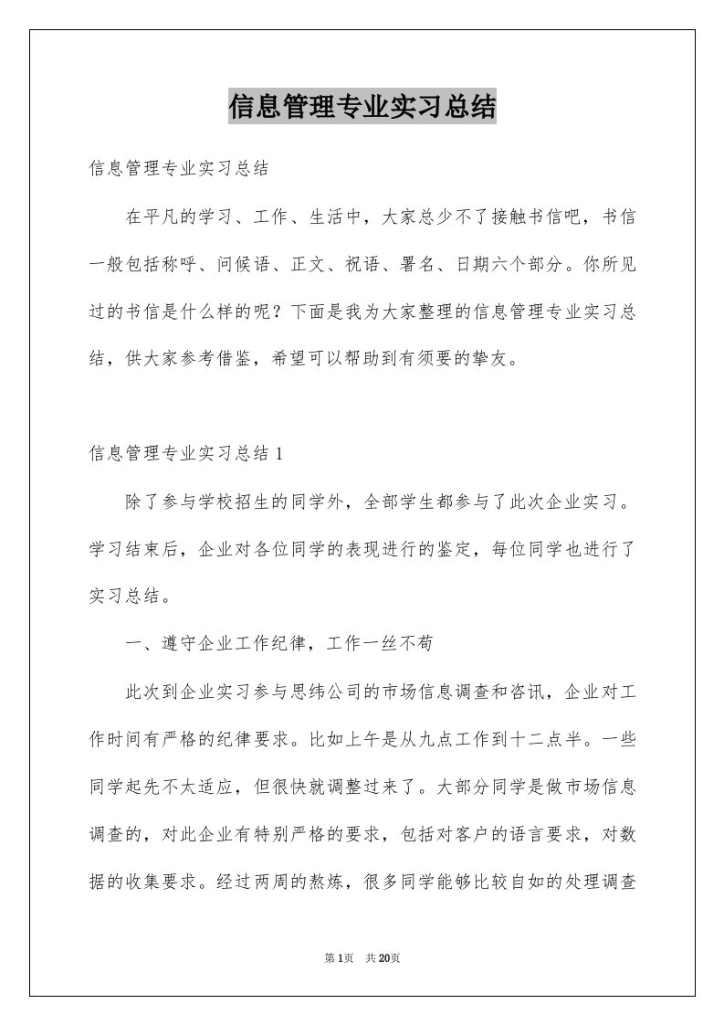 信息管理专业实习总结例文