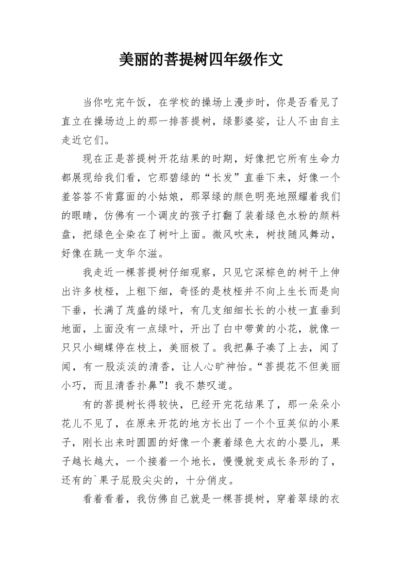 美丽的菩提树四年级作文