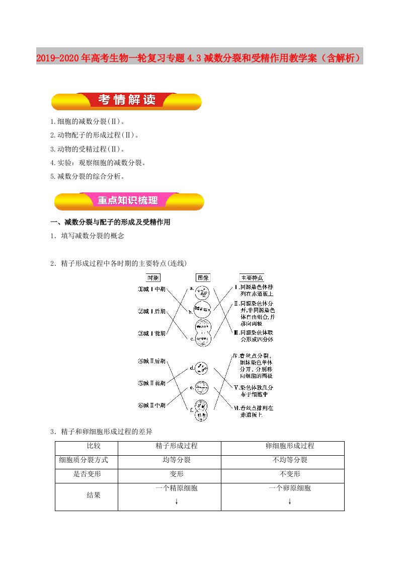 2019-2020年高考生物一轮复习专题4.3减数分裂和受精作用教学案（含解析）