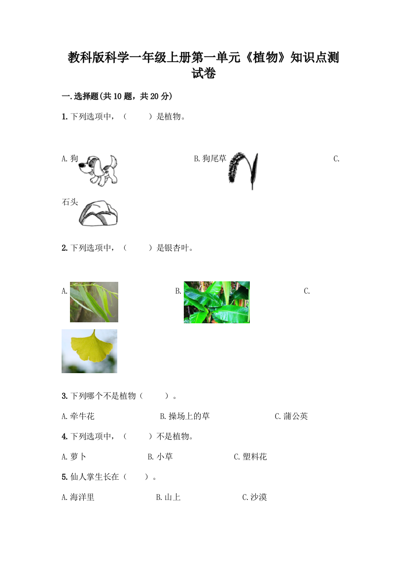 教科版科学一年级上册第一单元《植物》知识点测试卷加答案(能力提升)