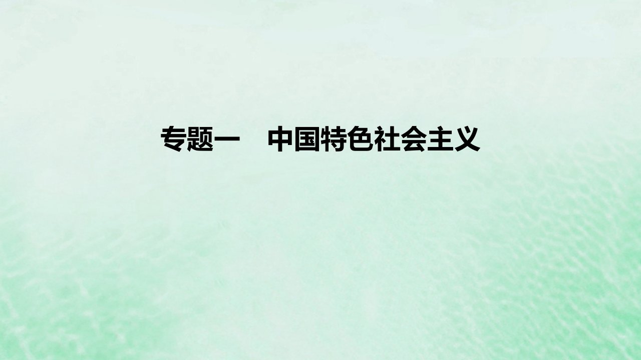 2023版高考政治一轮复习真题精练专题一中国特色社会主义课件