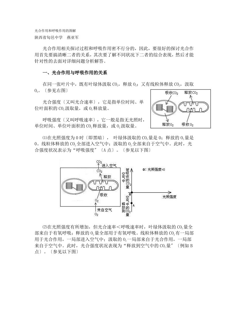 光合作用和呼吸作用的图解