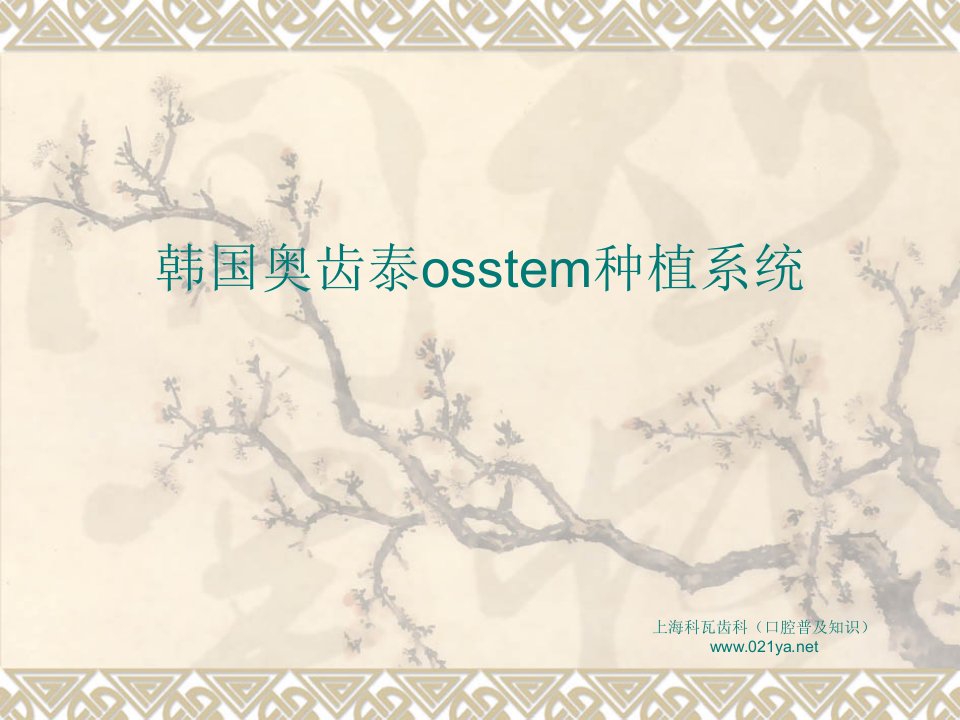 韩国奥齿泰osstem种植系统