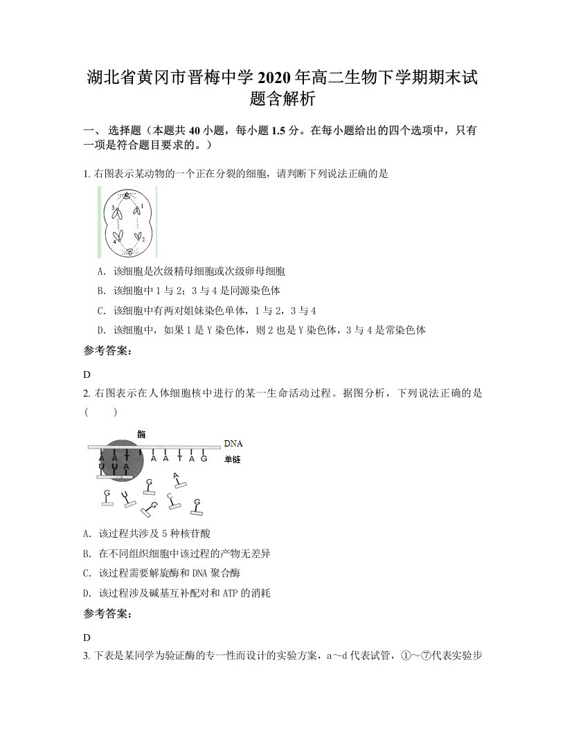 湖北省黄冈市晋梅中学2020年高二生物下学期期末试题含解析