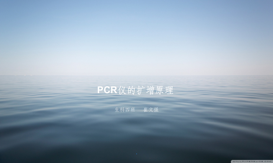 PCR仪的扩增原理.PPT课件