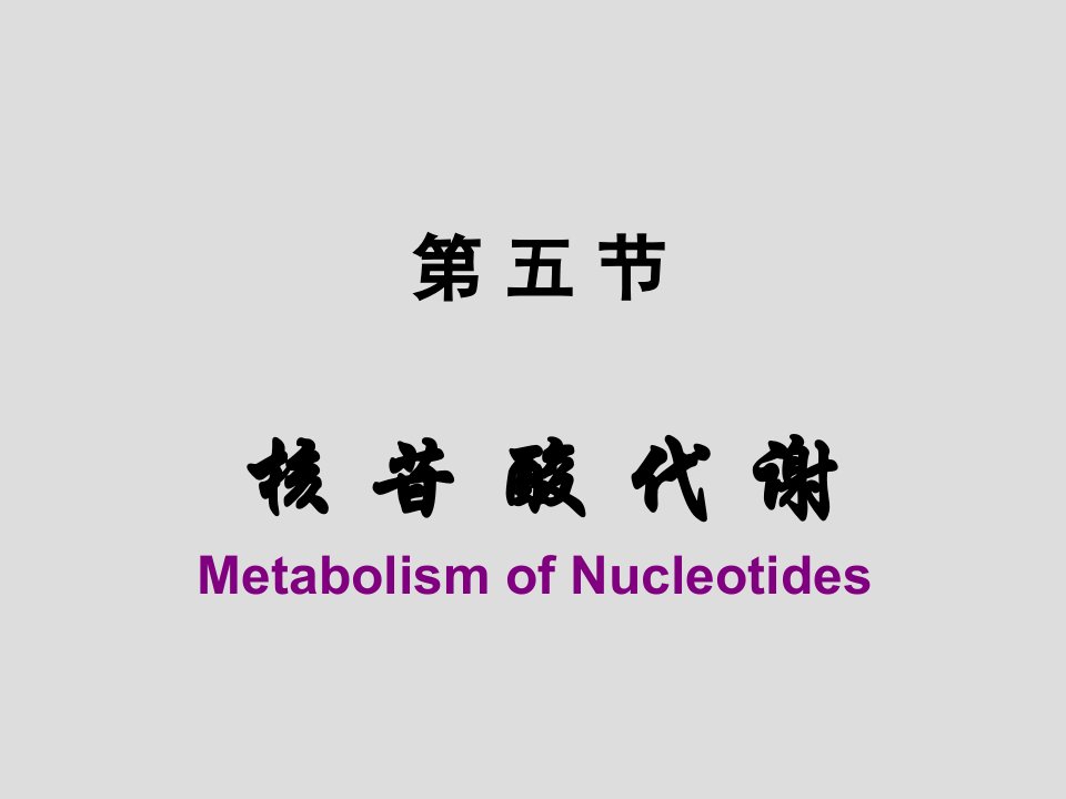 医学生物化学(正常人体学)核苷酸