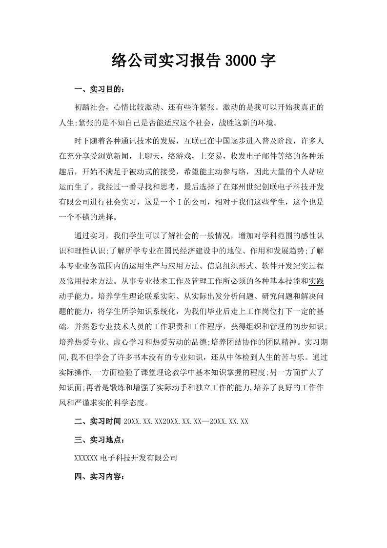 网络公司实习报告3000字