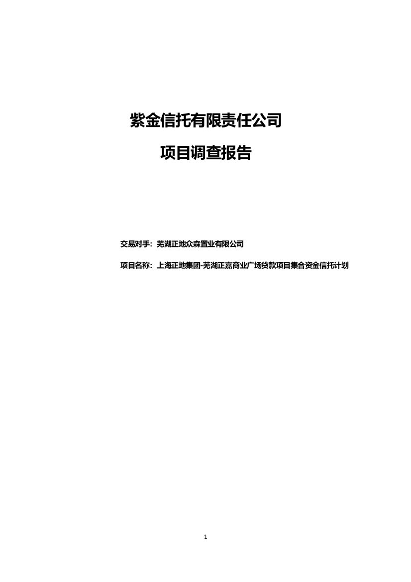 某信托公司项目调查报告