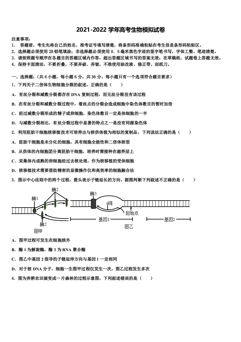 2022年山东省肥城市高三下学期第五次调研考试生物试题含解析