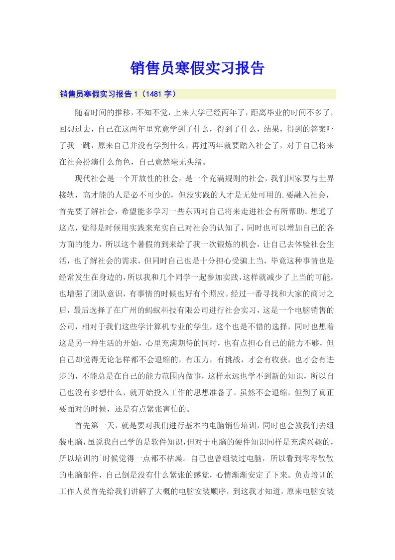 销售员寒假实习报告