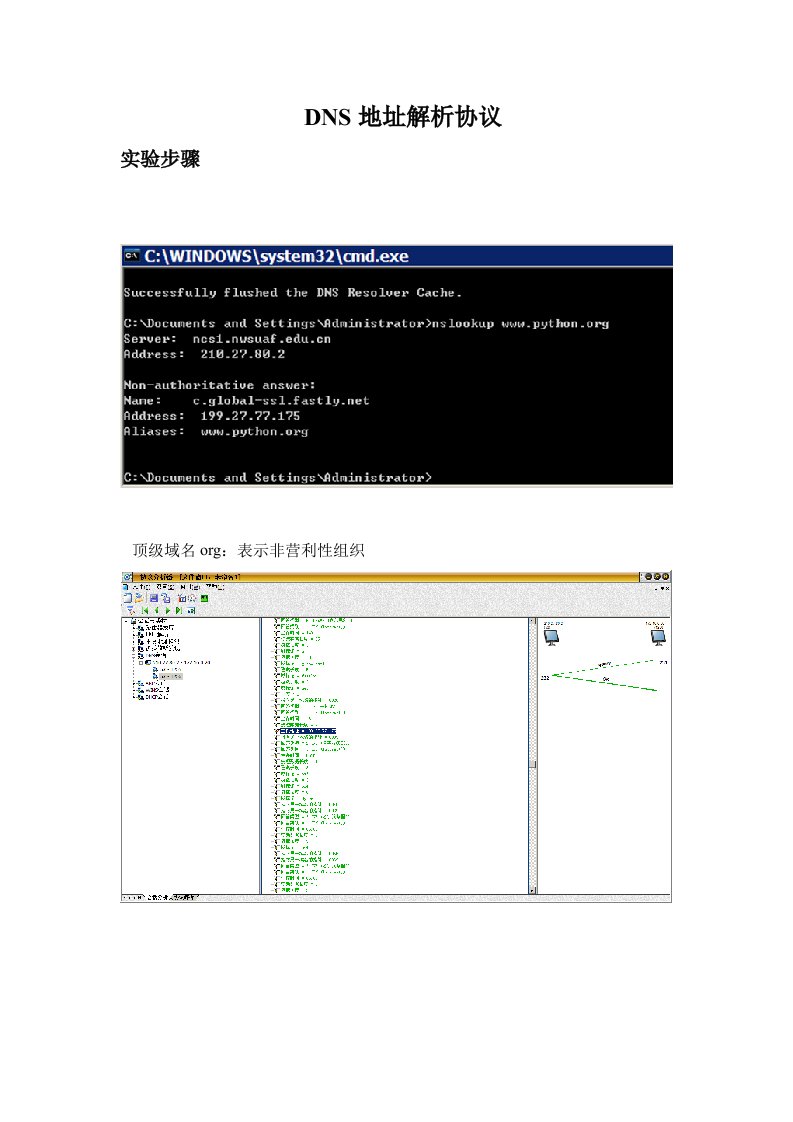 DNS地址解析协议