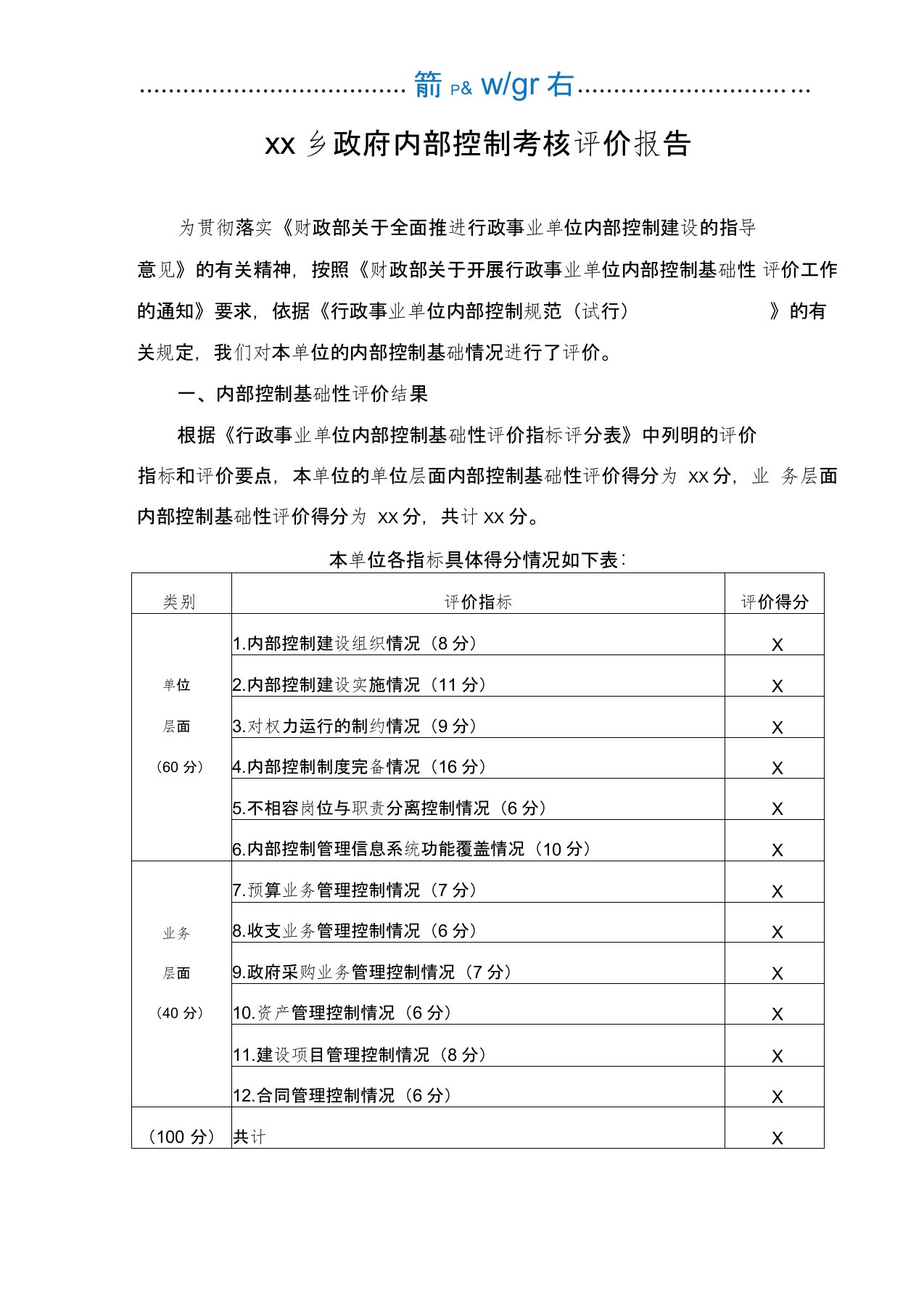 乡镇内部控制考核评价报告