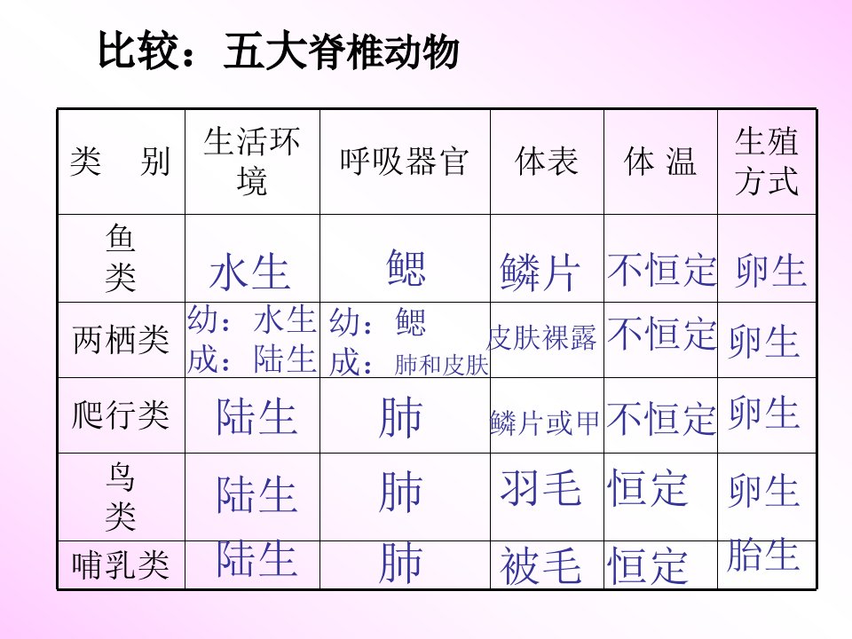 无脊椎动物分类