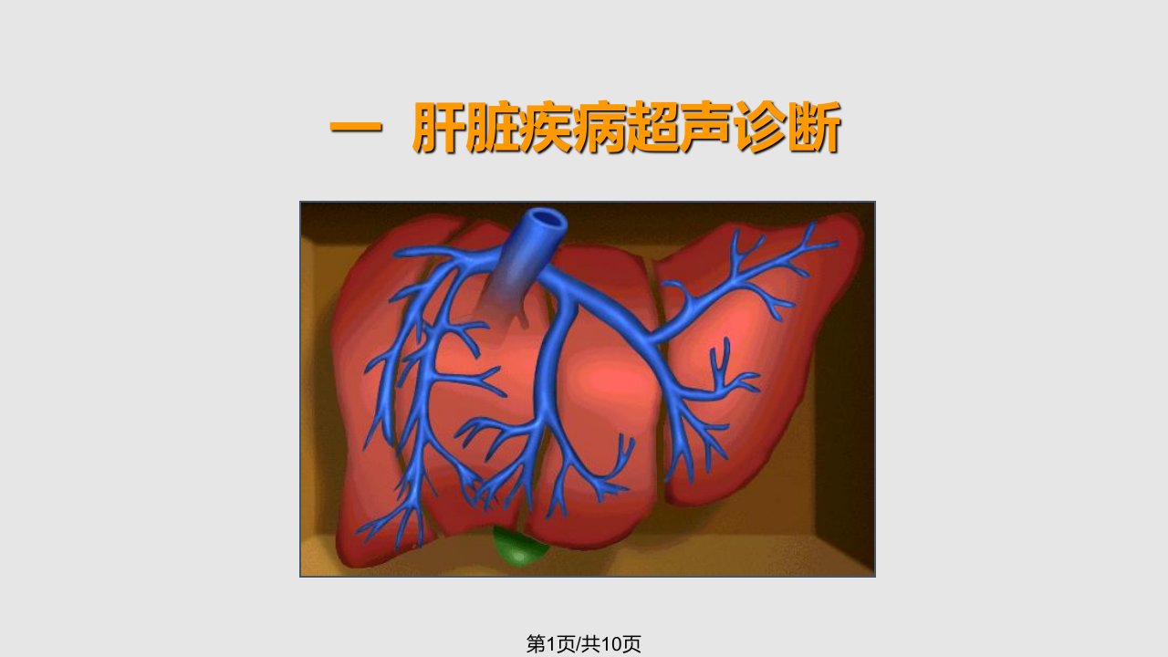 肝脏解剖超声PPT课件