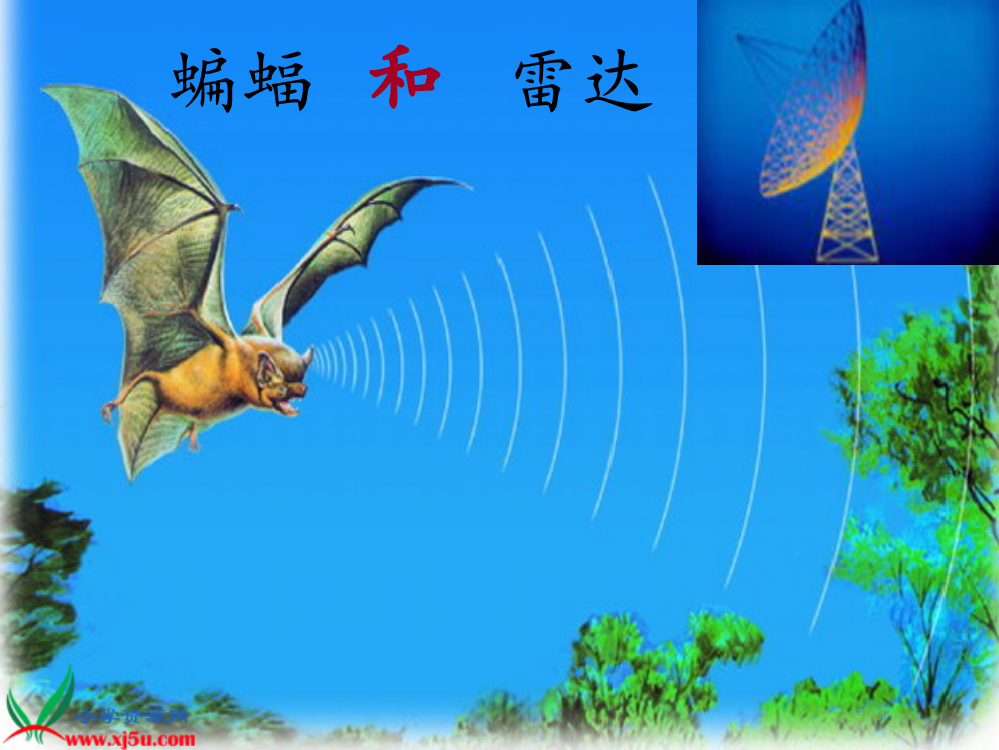 (人教新课标)四年级语文下册课件_蝙蝠和雷达_2