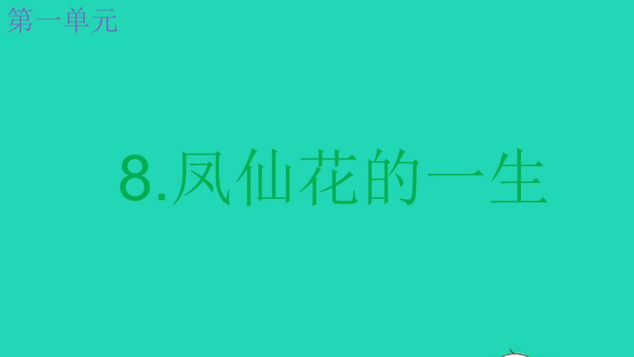 2022春四年级科学下册第一单元植物的生长变化8凤仙花的一生教学课件教科版