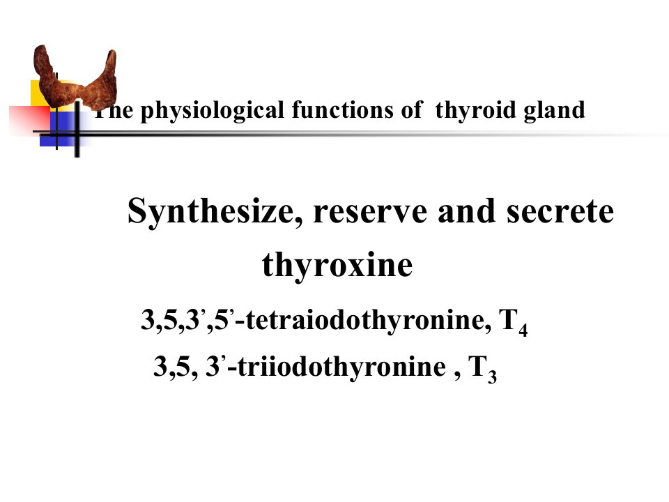 《甲状腺肿英》PPT课件