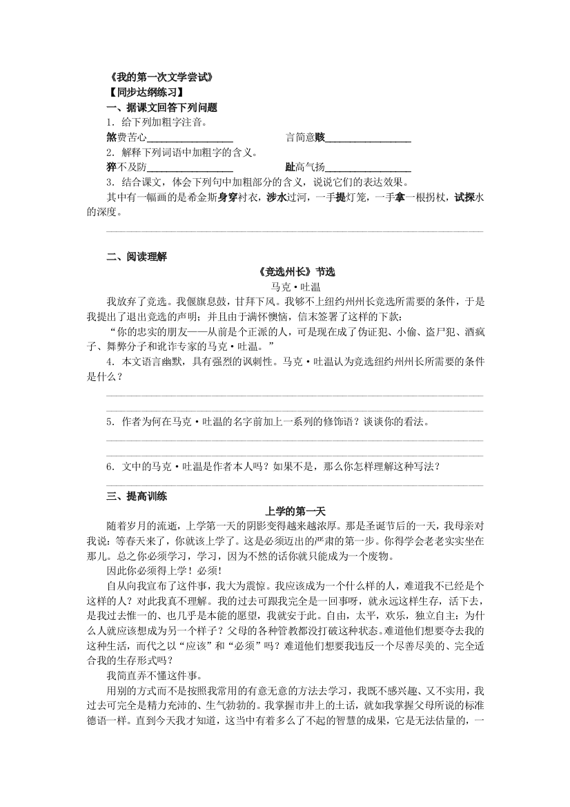 【小学中学教育精选】我的第一次文学尝试练习题