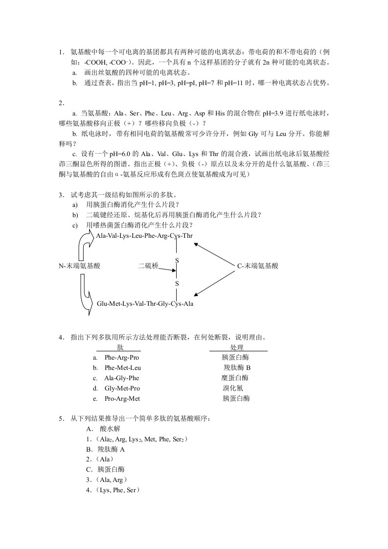 氨基酸-蛋白质-习题