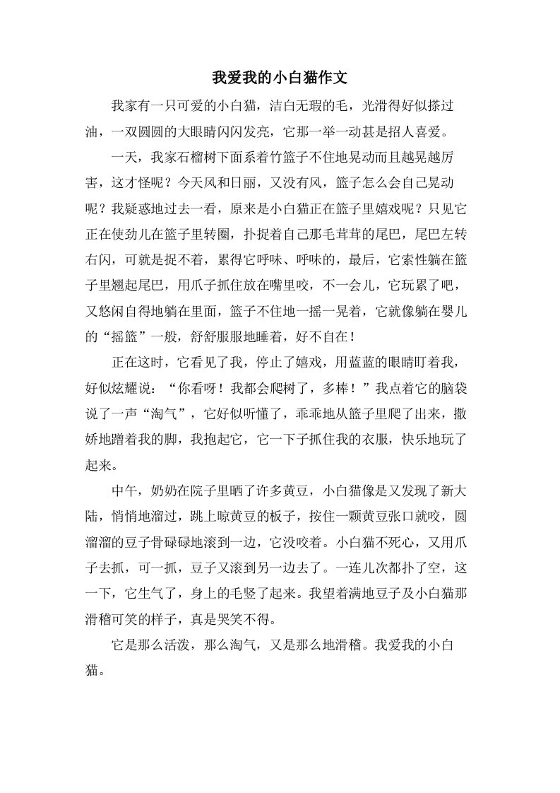 我爱我的小白猫作文