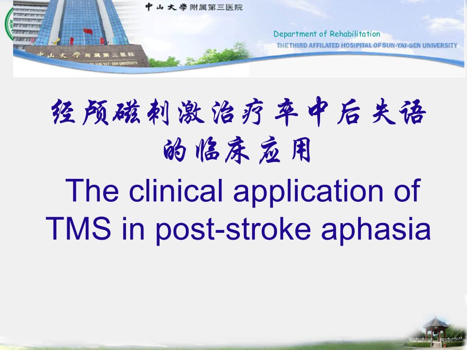 经颅磁刺激治疗卒中后失语的临床应用