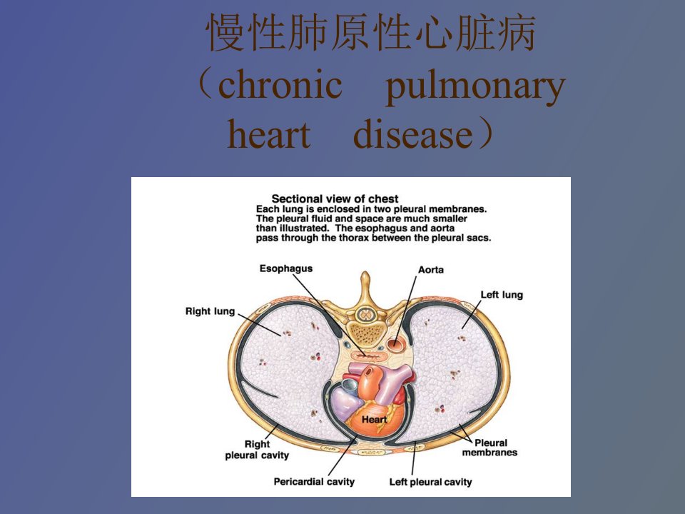 慢性肺原性心脏病