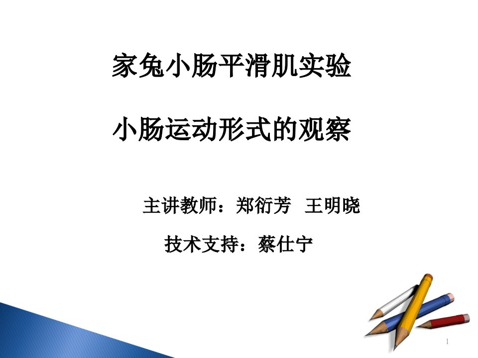 家兔小肠平滑肌实验小肠运动形式的