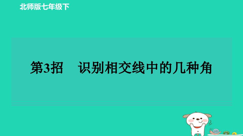 2024春七年级数学下册极速提分法第3招识别相交线中的几种角课件新版北师大版