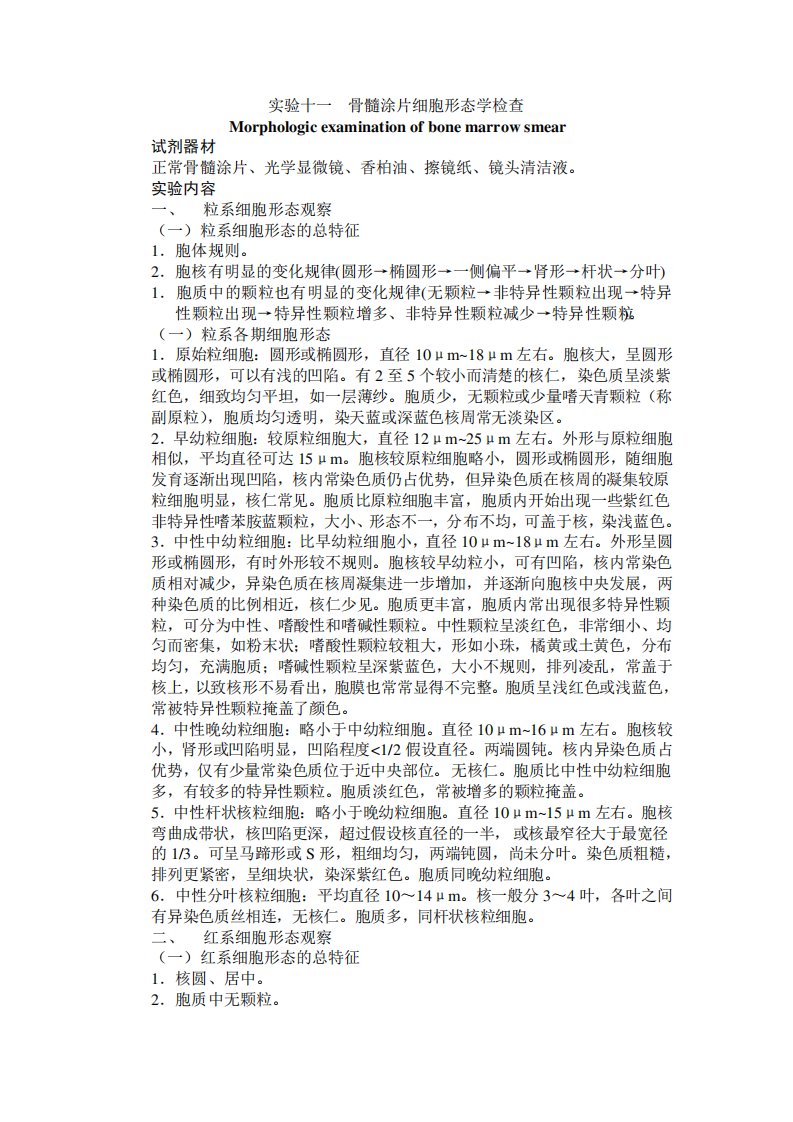 骨髓涂片细胞形态学检查