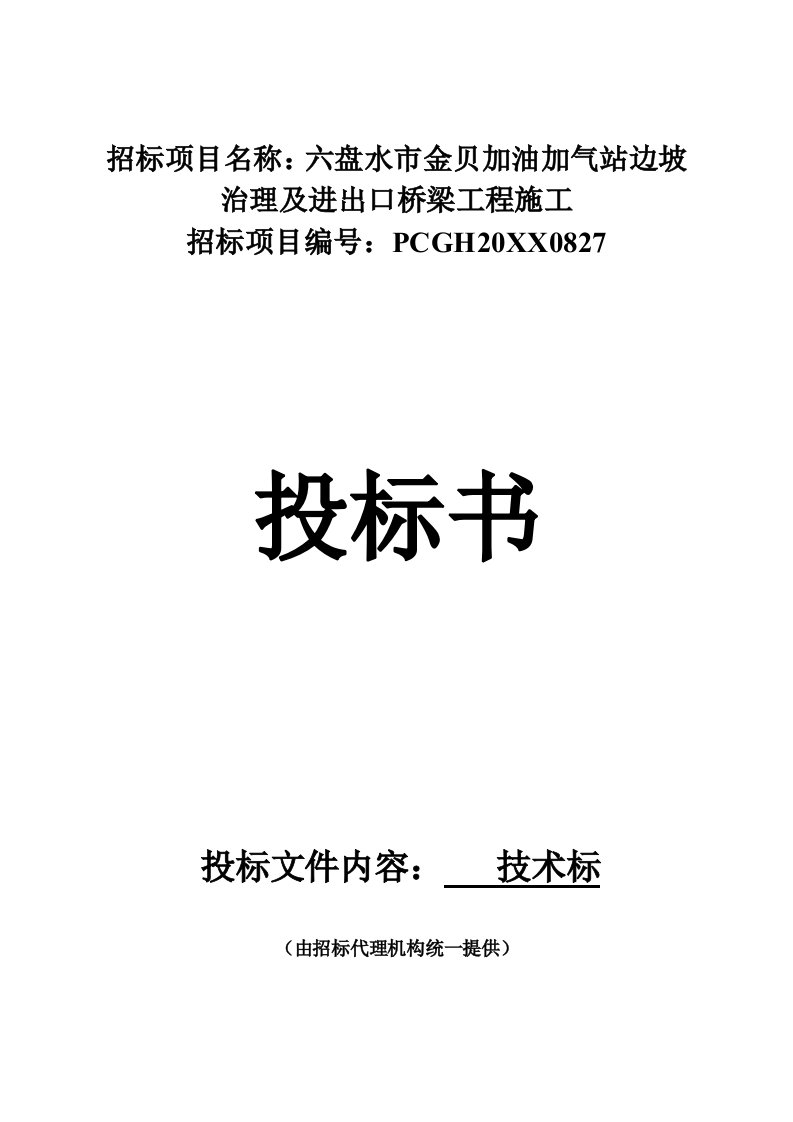 六盘水金贝加油站技术标