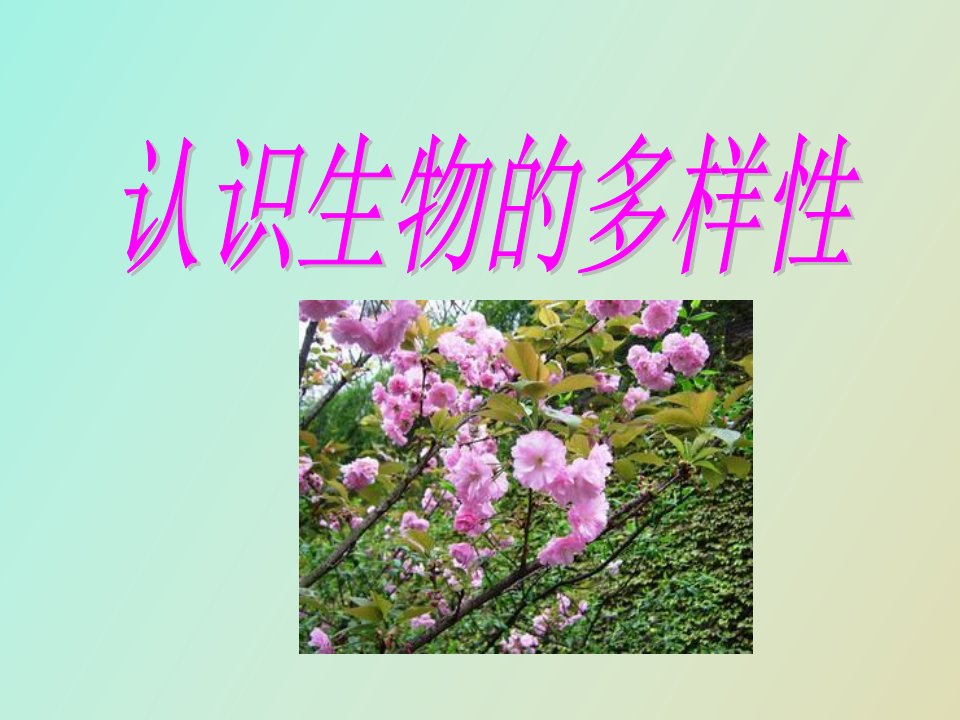 认识生物多样性