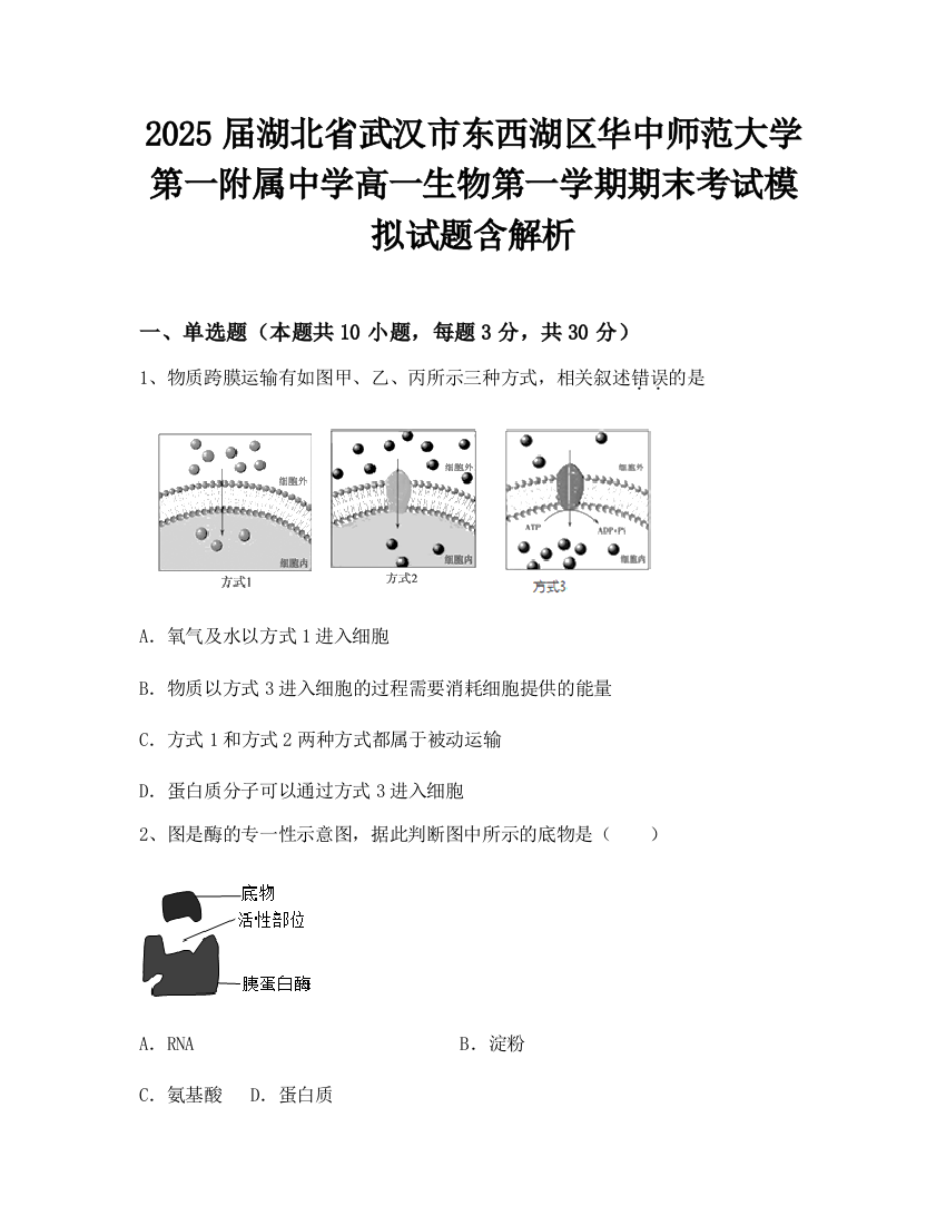 2025届湖北省武汉市东西湖区华中师范大学第一附属中学高一生物第一学期期末考试模拟试题含解析