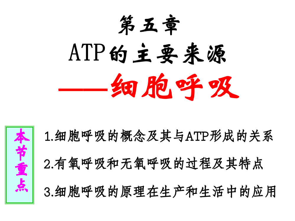 生物：53《ATP的主要来源——细胞呼吸》课件---新人教版必修1)1