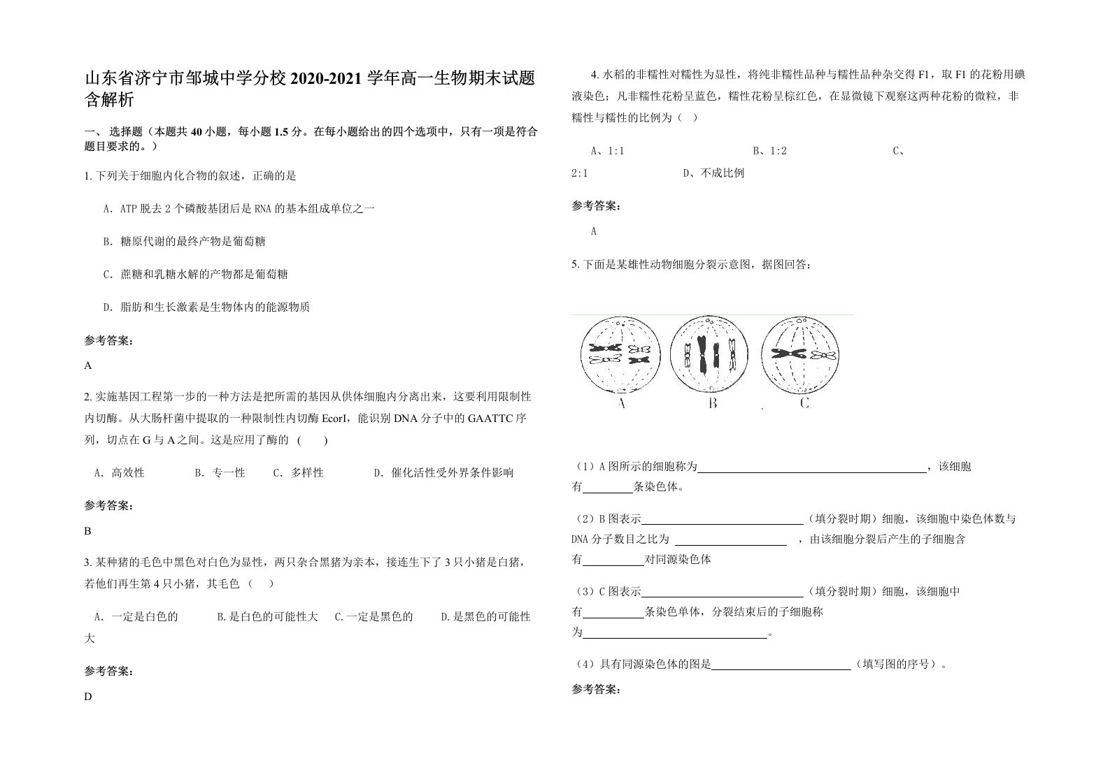 山东省济宁市邹城中学分校2020-2021学年高一生物期末试题含解析