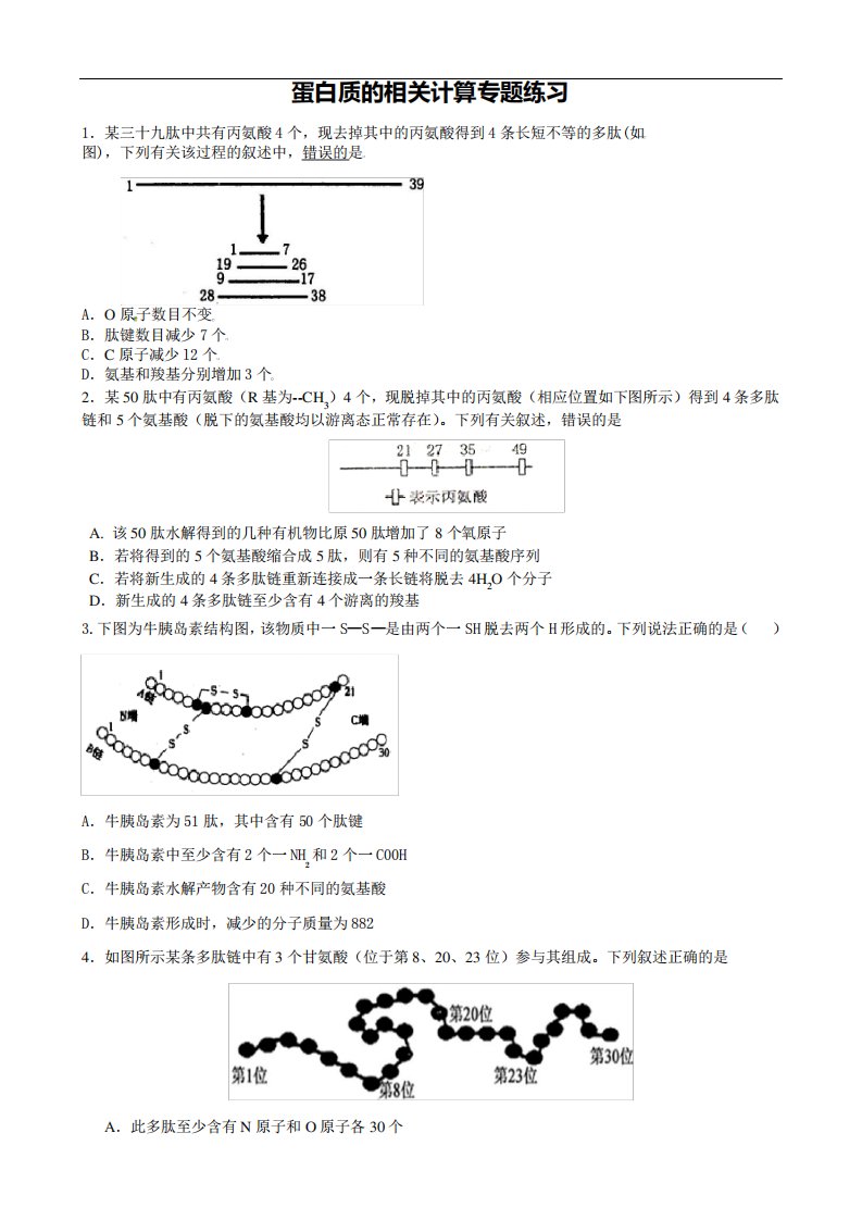 2022高三一轮复习生物计算类专题训练01-蛋白质的相关计算(含答案)