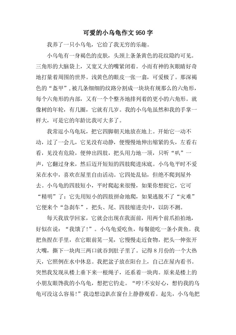 可爱的小乌龟作文950字