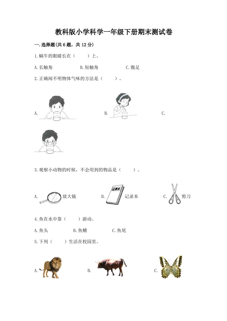 教科版小学科学一年级下册期末测试卷含完整答案【网校专用】