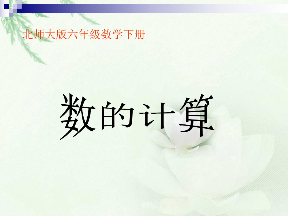 北师大版数学六年级下册《数的计算》课件