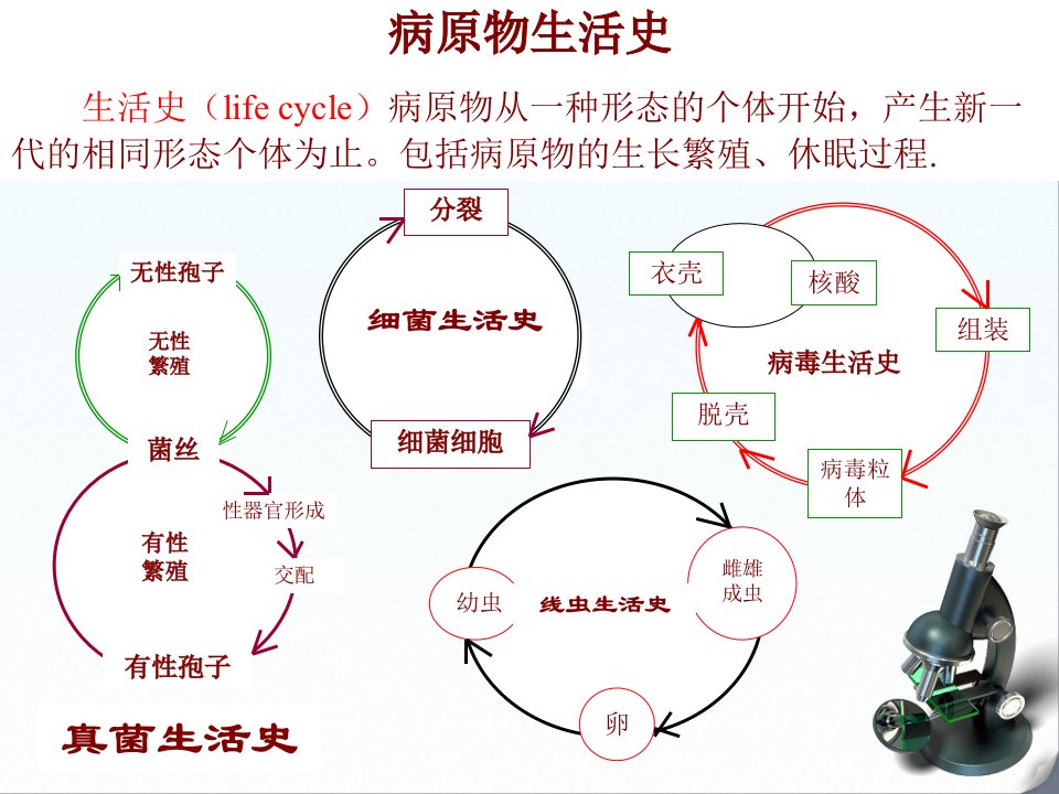 植物病害发生发展