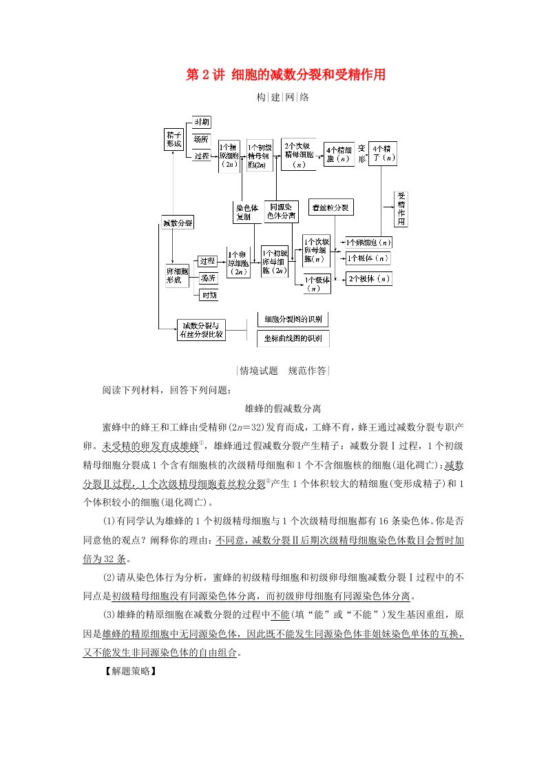 2025版高考生物一轮总复习素养提升必修1第4单元细胞的生命历程第2讲细胞的减数分裂和受精作用