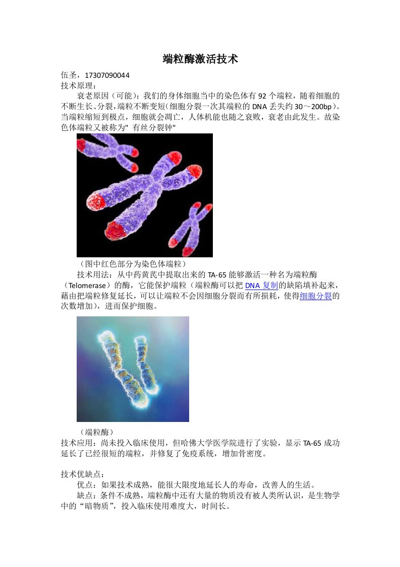 端粒酶激活技术