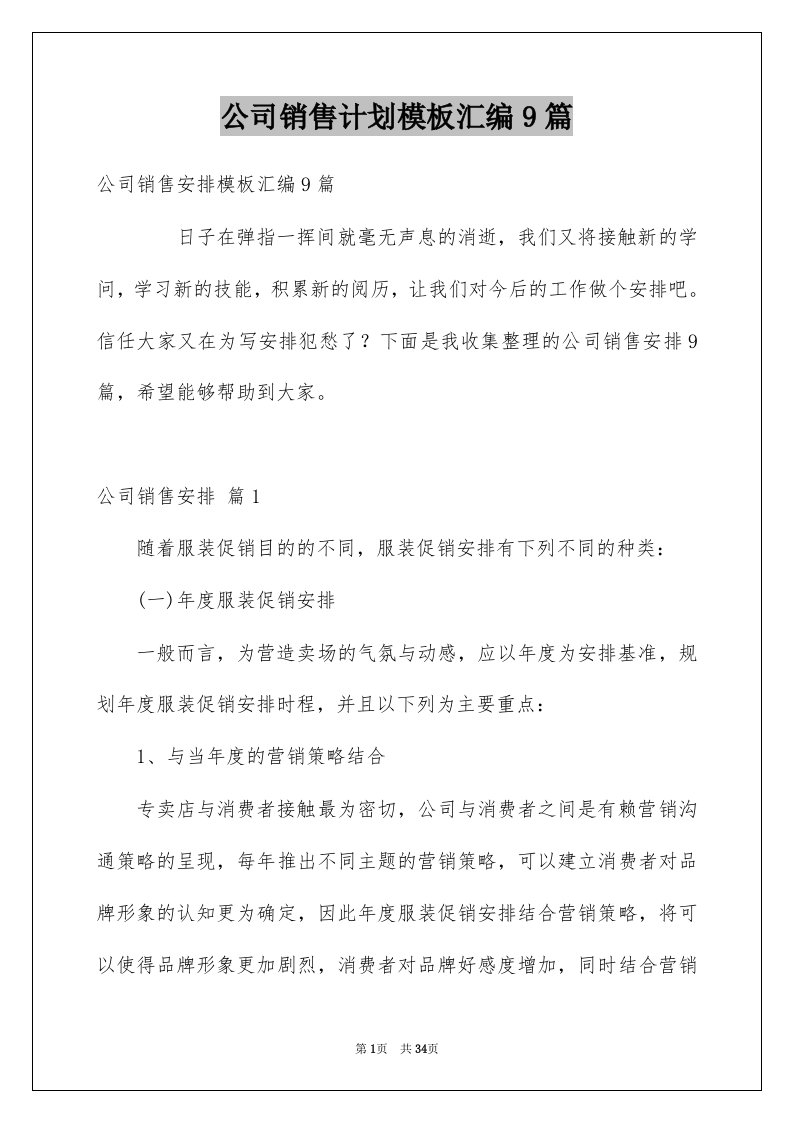 公司销售计划模板汇编9篇精选