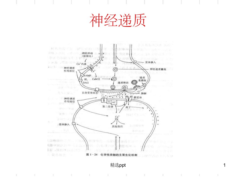 《生理心理学第一章》PPT课件