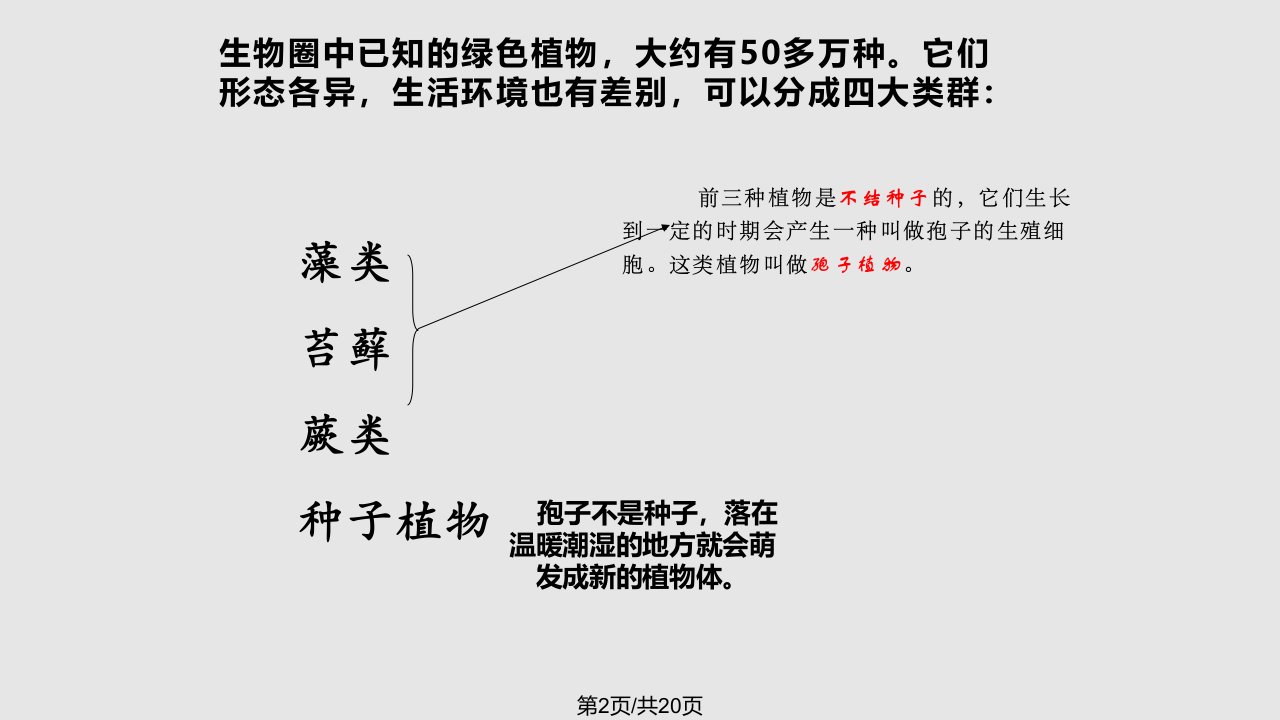 秋七年级生物上册藻类苔藓和蕨类植物新人教