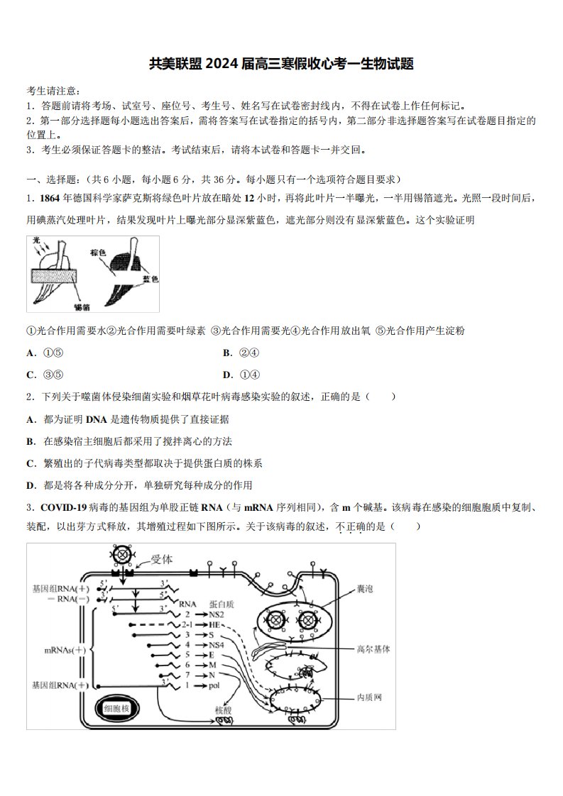 共美联盟2024届高三寒假收心考一生物试题含解析