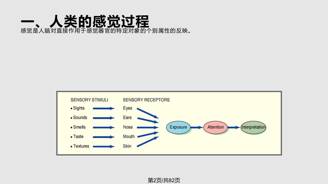 广告心理学知觉