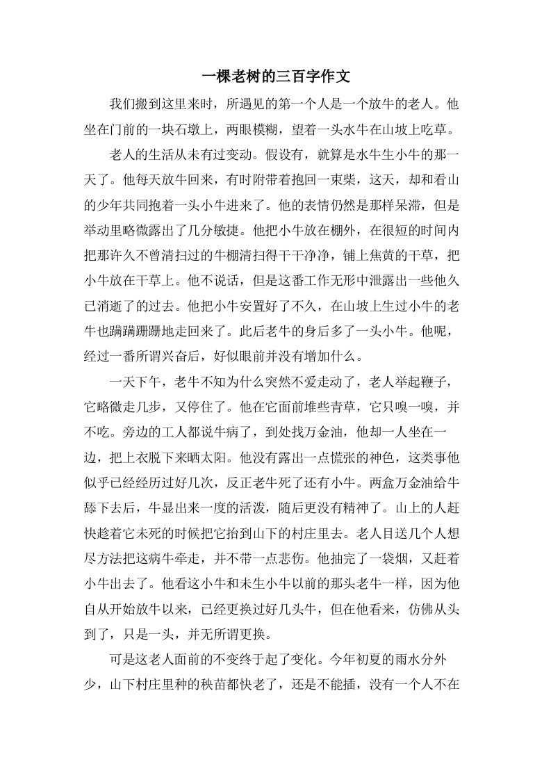 一棵老树的三百字作文